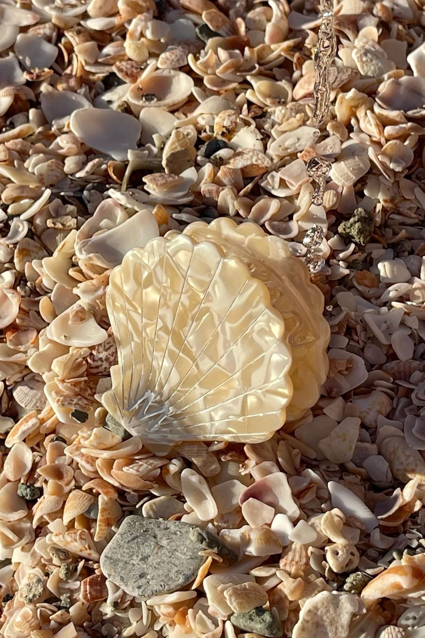 Sanibel Shell Hair Clip - Ivory Swirl - Image 4